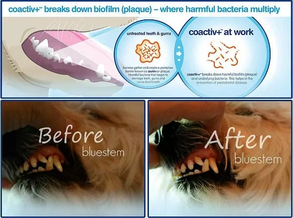 Bluestem Oral Care Original Flavor Water Additive for Cats & Dogs