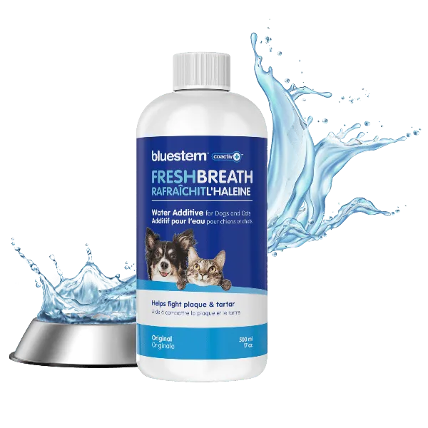 Bluestem Oral Care Original Flavor Water Additive for Cats & Dogs