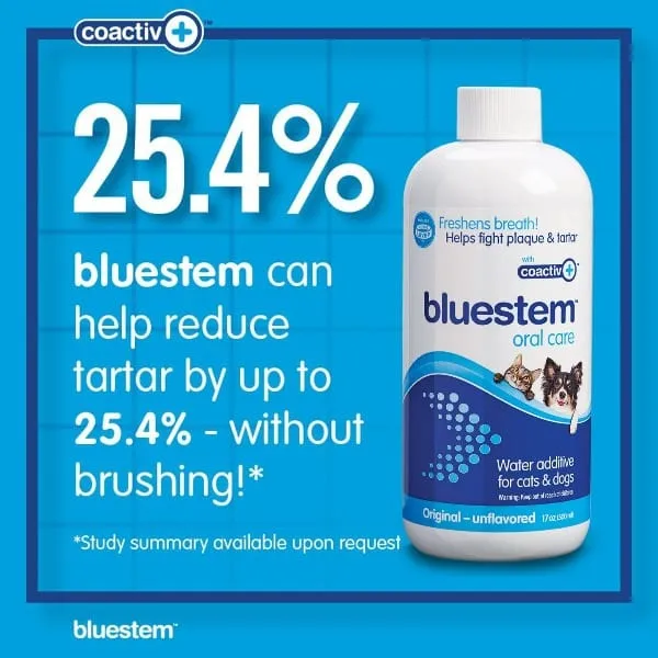 Bluestem Oral Care Original Flavor Water Additive for Cats & Dogs