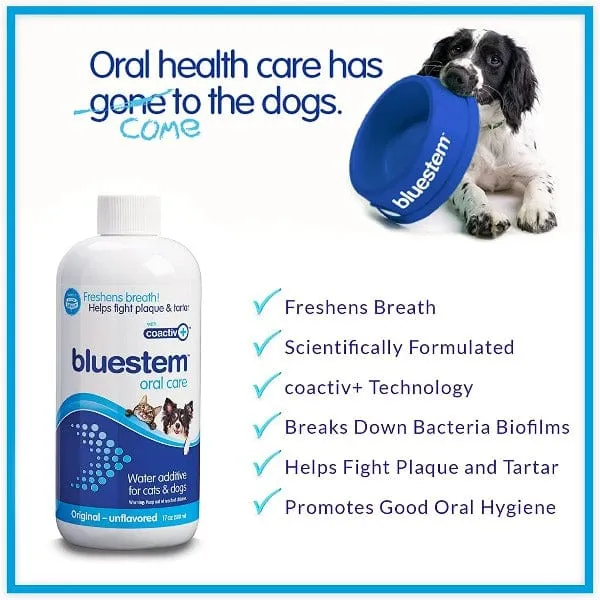Bluestem Oral Care Original Flavor Water Additive for Cats & Dogs